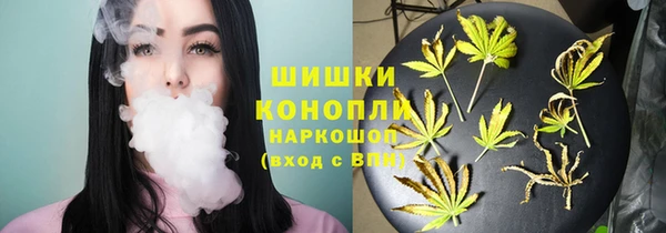 прущие грибы Алзамай