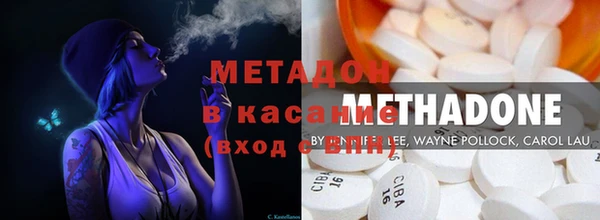 прущие грибы Алзамай