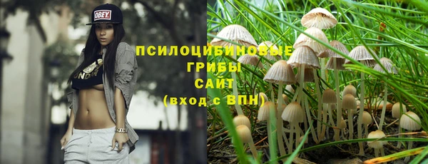 прущие крисы Алексин