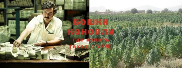 прущие крисы Алексин
