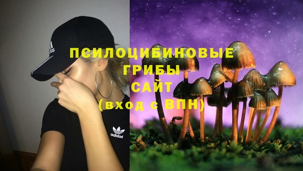 прущие грибы Алзамай