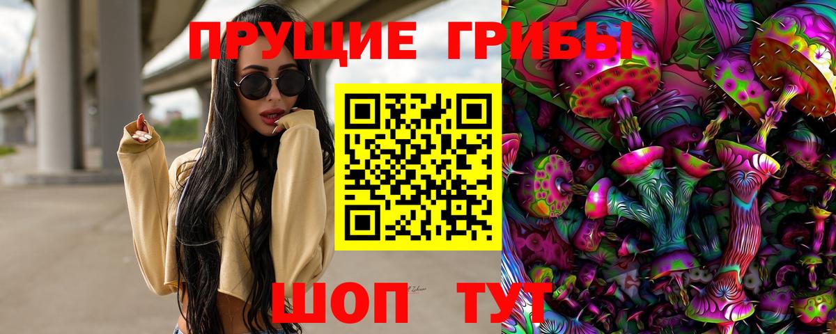 Псилоцибиновые грибы Cubensis  Вход с VPN  Шахты 